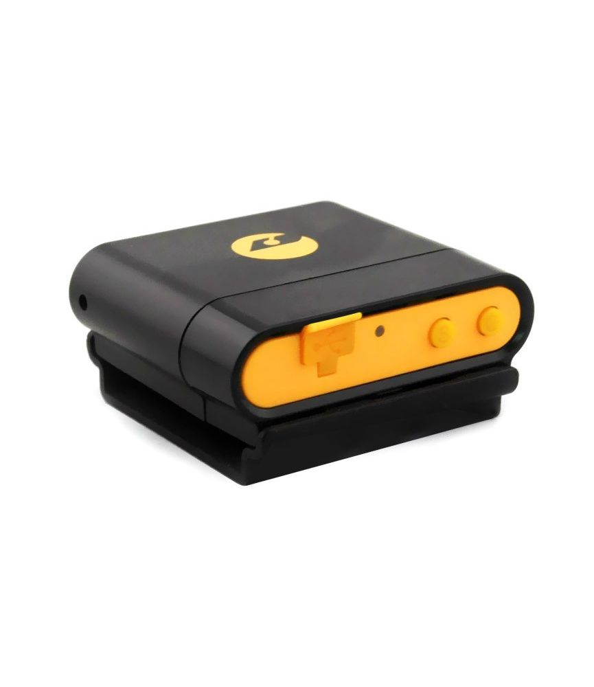 traceur gps chat miniature